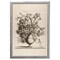 12" x 16" Vintage Vase in Sepia Framed Wall Art, Contemporary Floral Home Décor, Glass Facing and Hanging Hardware Included